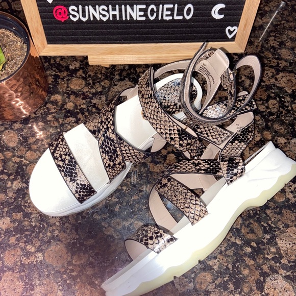 wild fable : kaya gladiator sandals - Picture 3 of 8